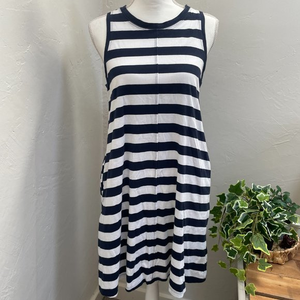 Gap Blue and White‎ Striped Dress